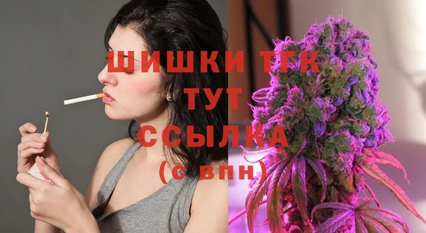 индика Вязники